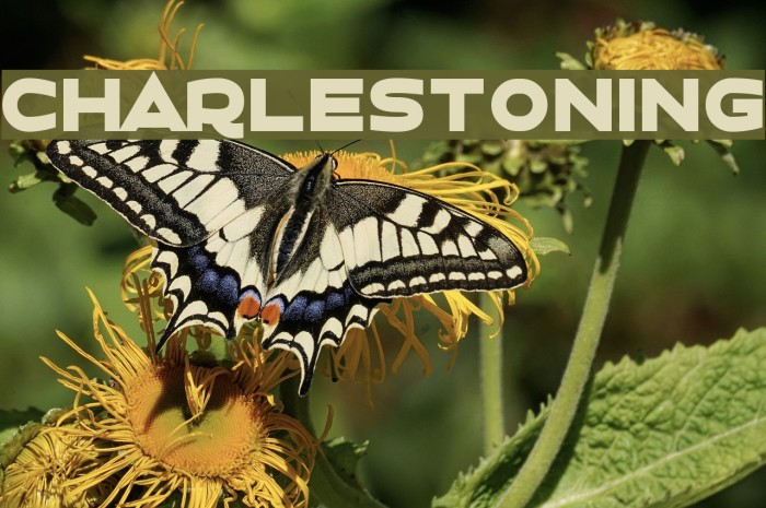 Charlestoning Font examples