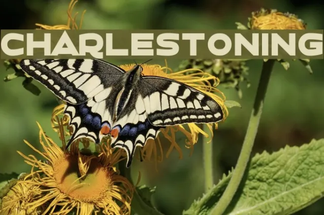Charlestoning Example 3