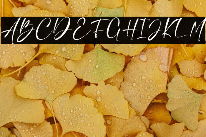 Charlie Angela Example 1