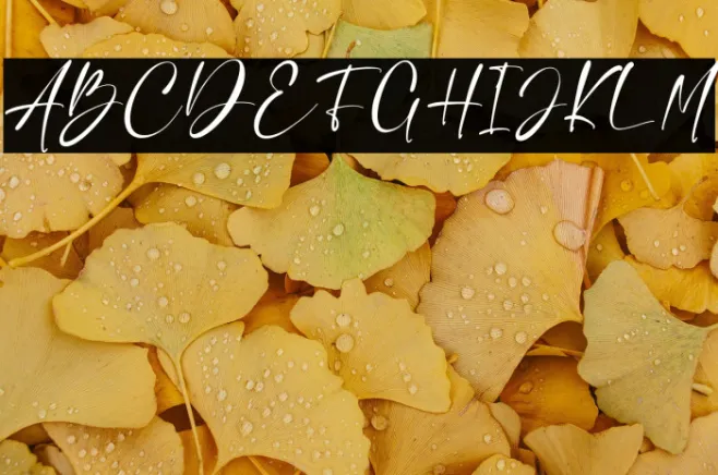 Charlie Angela Example 1