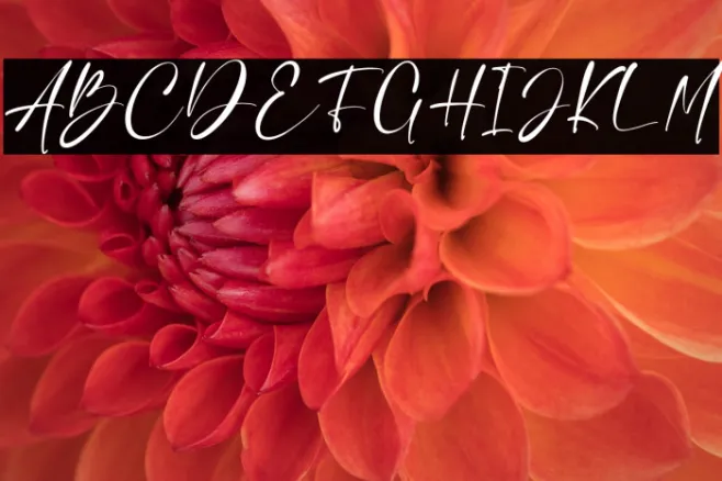 Charlie Angela Example 2