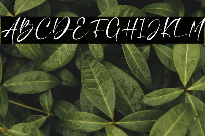 Charlie Angela Example 3