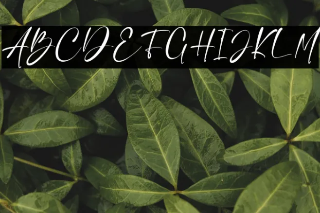 Charlie Angela Example 3