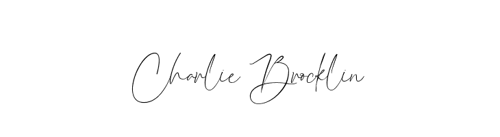 Charlie Brocklin  Скачать бесплатные шрифты