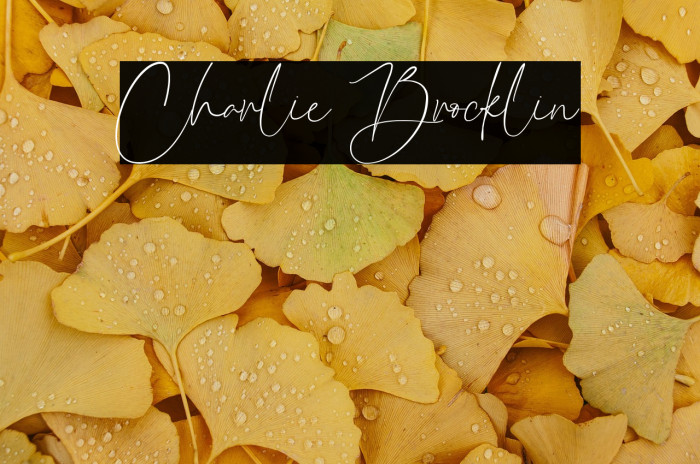 Charlie Brocklin Example 1