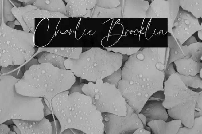 Charlie Brocklin Font examples