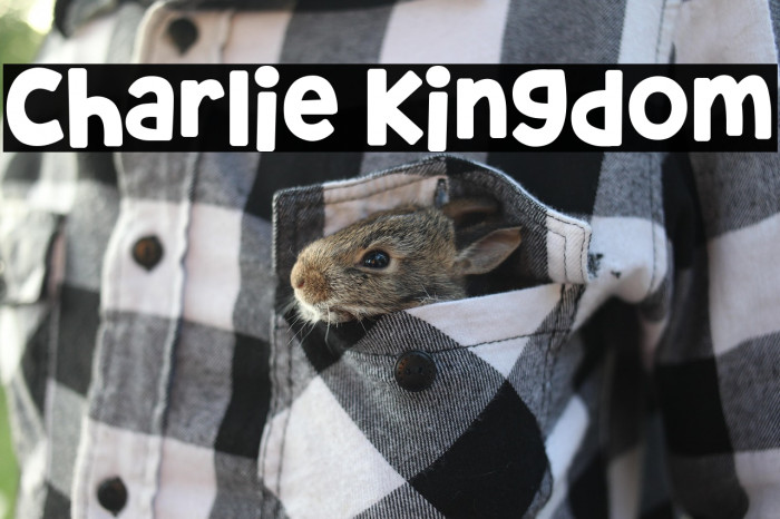 Charlie Kingdom Example 3