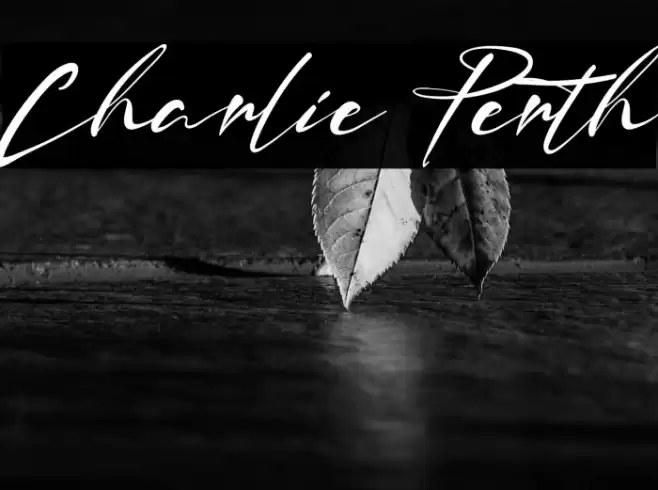 Charlie Perth Font examples
