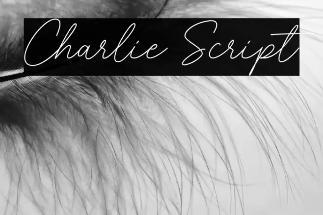 Charlie Script Font examples