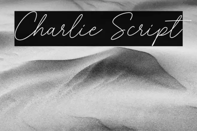 Charlie Script Font examples