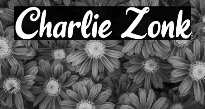 Charlie Zonk Font examples