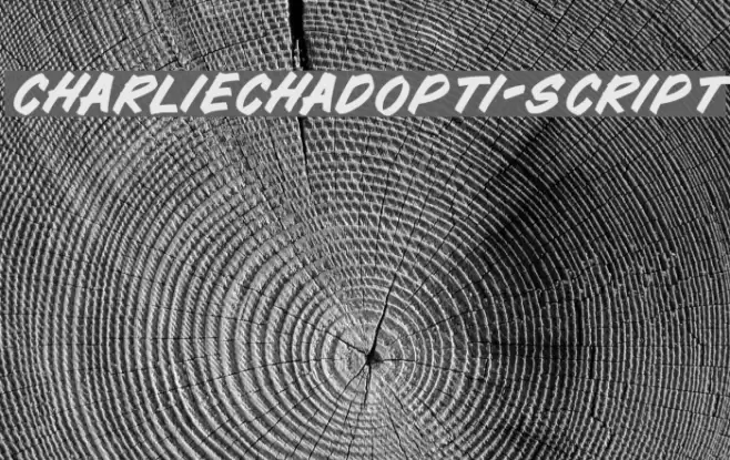 CharlieChadOpti-Script Font examples