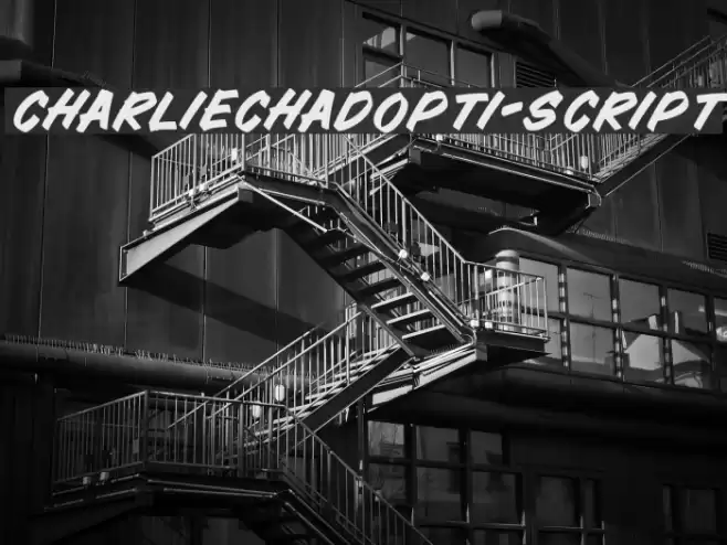 CharlieChadOpti-Script Font examples