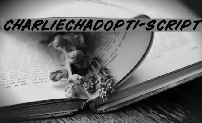 CharlieChadOpti-Script Font examples