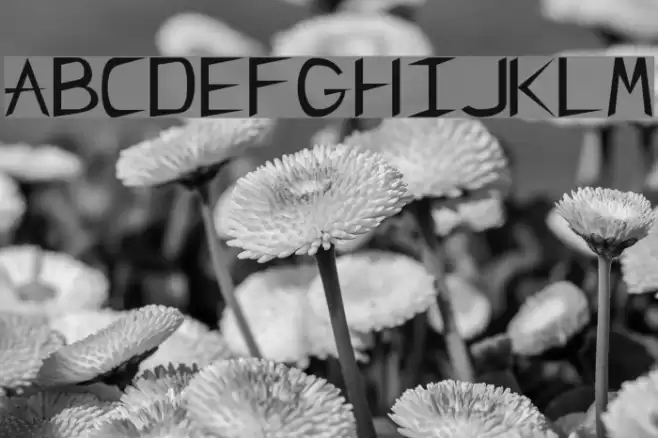 CharlieChan Regular Font examples