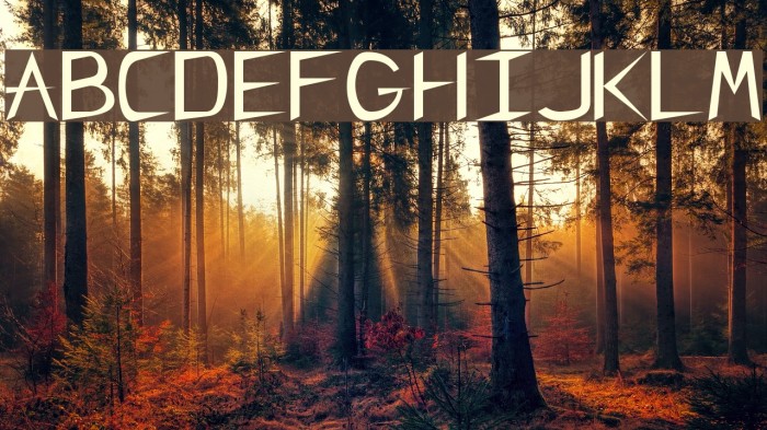 CharlieChan Regular Font examples