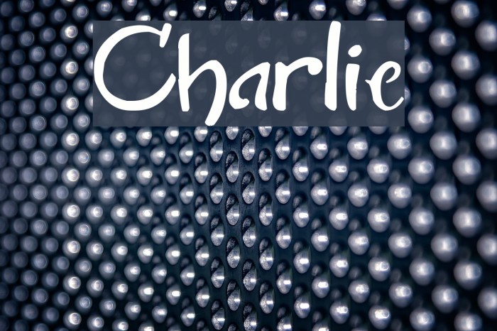 Charlie Font examples