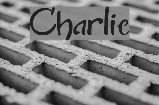 Charlie Font examples