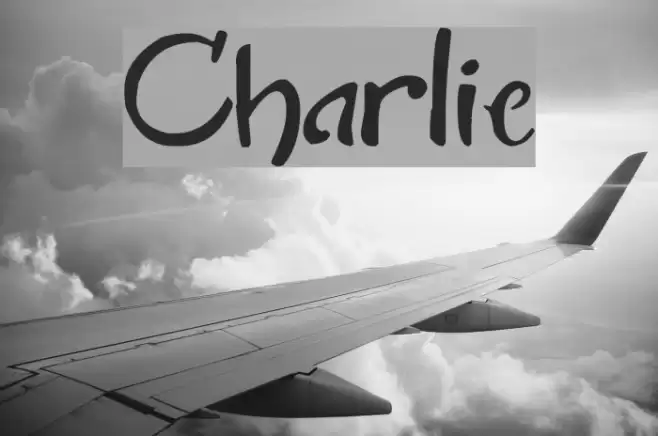Charlie Font examples