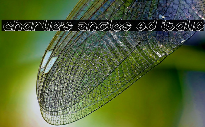 Charlie's Angles 3D Italic Font examples