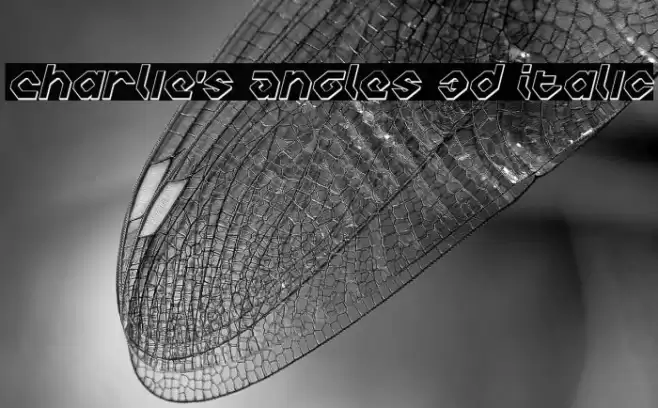 Charlie's Angles 3D Italic Polices examples