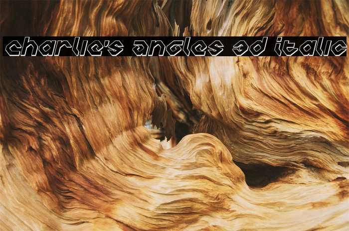 Charlie's Angles 3D Italic Font examples