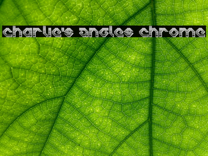 Charlie's Angles Chrome Fonte examples