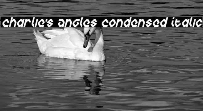 Charlie's Angles Condensed Italic Polices examples