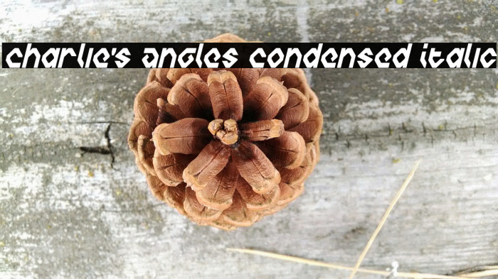Charlie's Angles Condensed Italic Polices examples