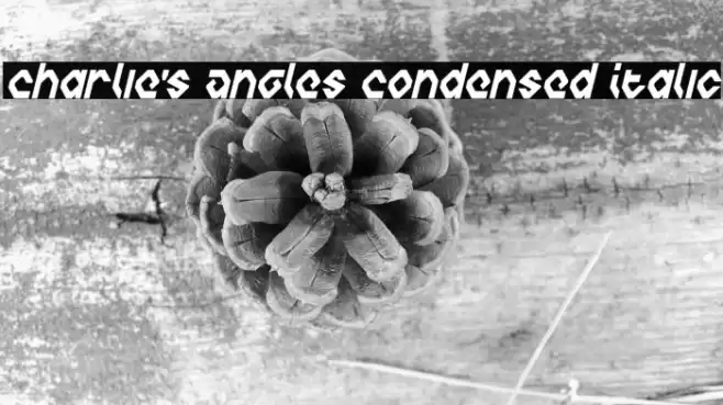 Charlie's Angles Condensed Italic Polices examples