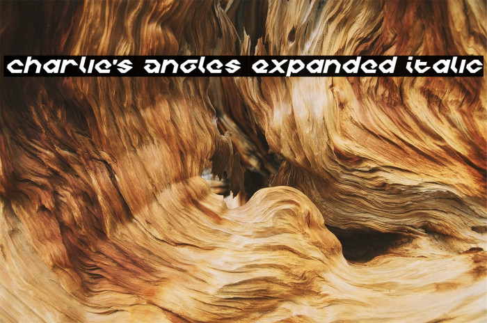Charlie's Angles Expanded Italic Polices examples