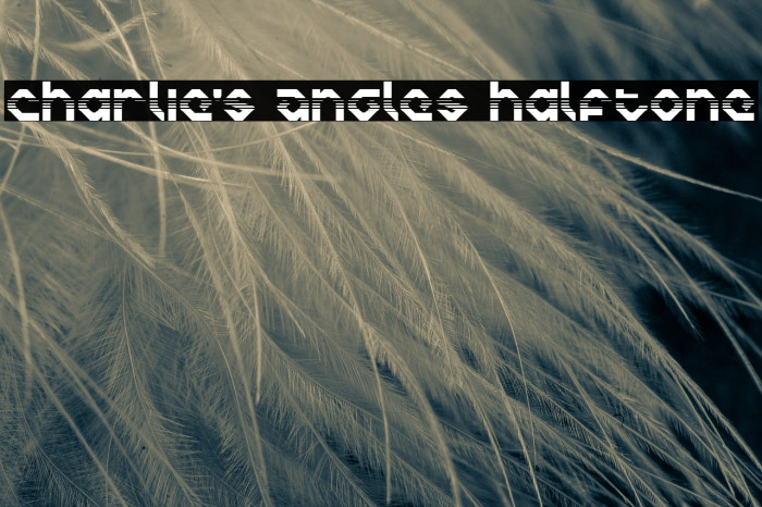 Charlie's Angles Halftone Polices examples