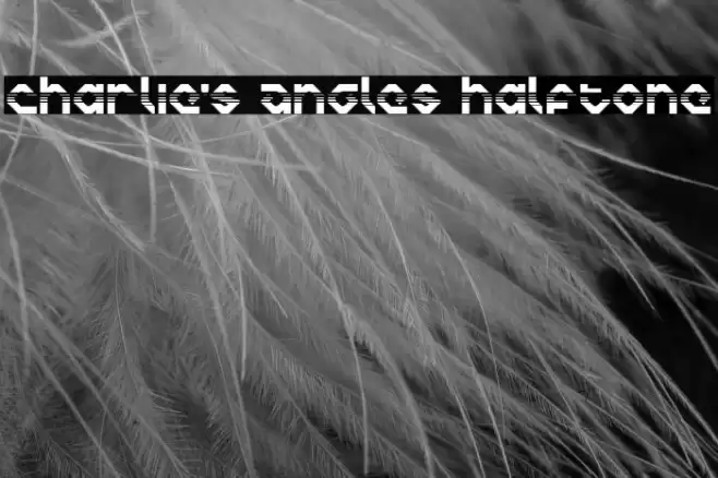 Charlie's Angles Halftone خط examples