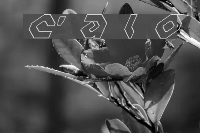 Charlie's Angles Italic Outline Font examples