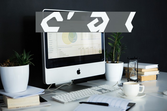 Charlie's Angles Italic Font examples