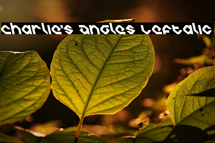 Charlie's Angles Leftalic Font examples