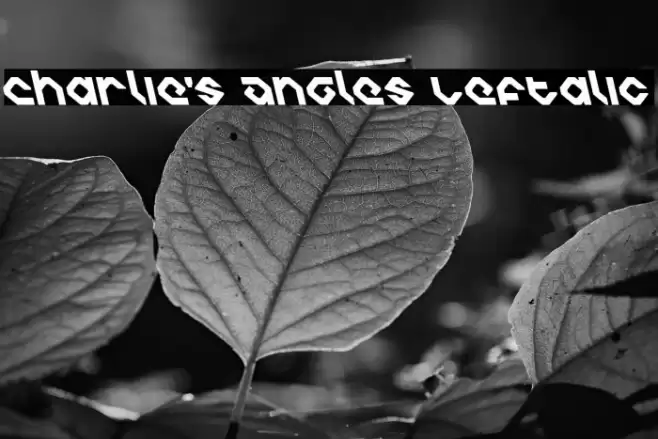 Charlie's Angles Leftalic خط examples
