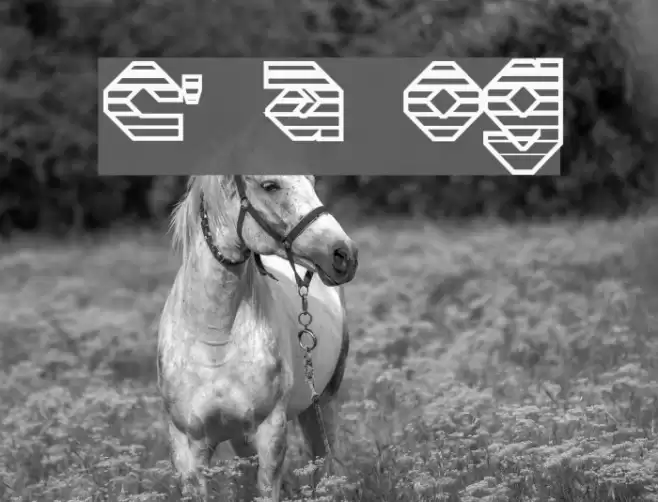 Charlie's Angles OutGradient Schriftart examples