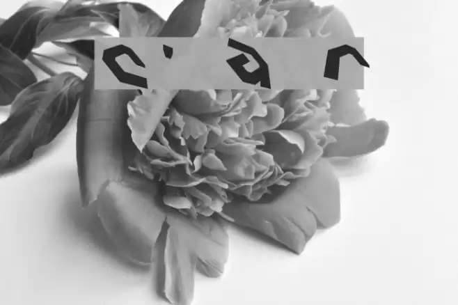 Charlie's Angles Rotate Font examples