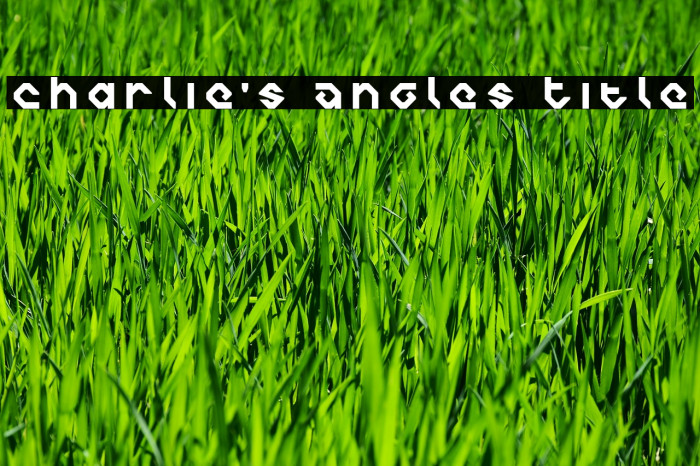 Charlie's Angles Title Font examples