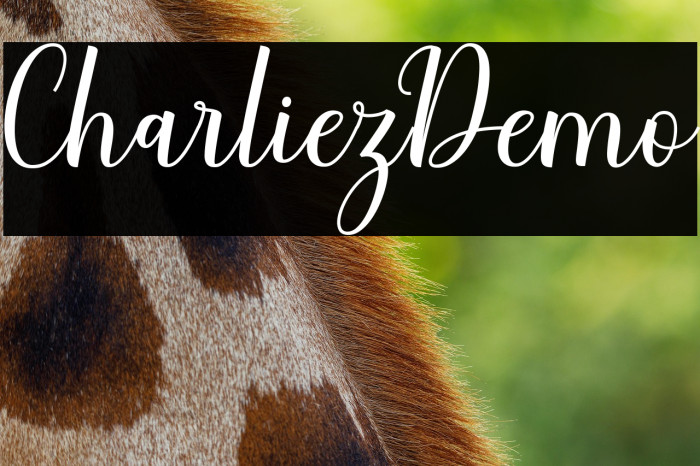 CharliezDemo Example 1
