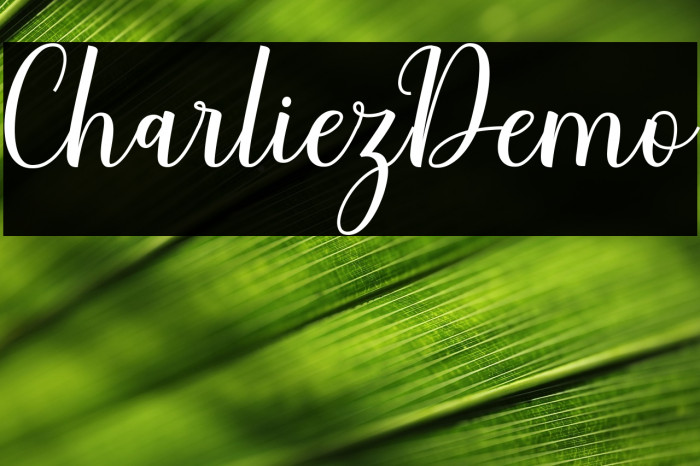 CharliezDemo Example 2