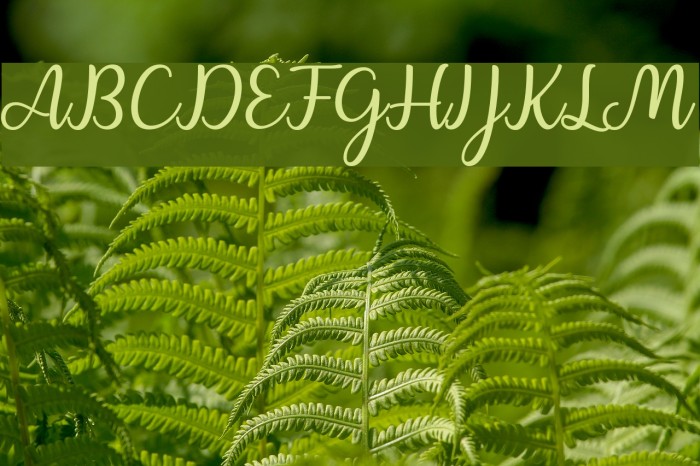 Charline Font examples