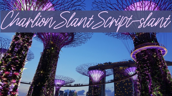CharlionSlantScript-slant Font examples