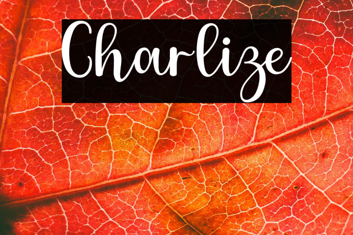 Charlize Example 3