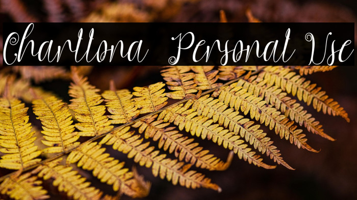 Charllona - Personal Use Example 1