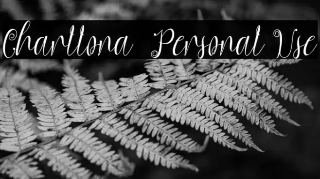 Charllona - Personal Use Font examples