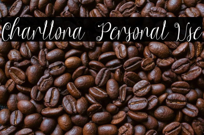 Charllona - Personal Use Example 2