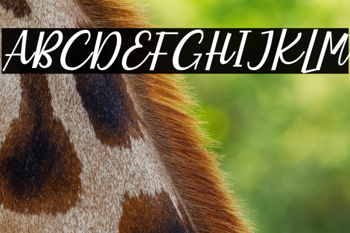 Charlote Earle Italic Example 2