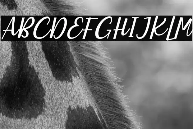 Charlote Earle Italic Font examples